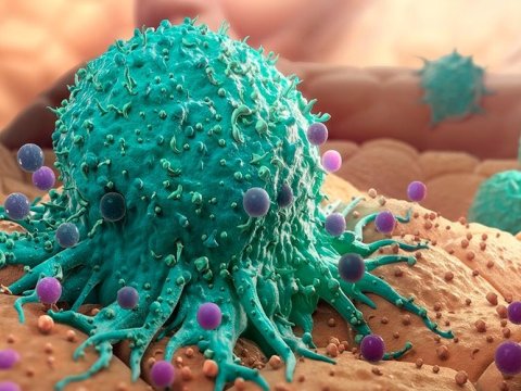 Yeni pandemiyaya səbəb ola biləcək viruslar AŞKARLANDI