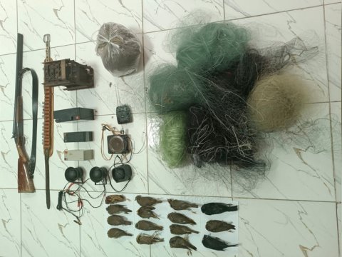 Qanunsuz ov edənlər CƏZALANDIRILDI