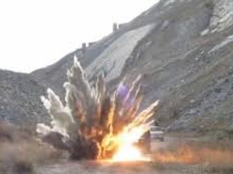 Ermənilərin basdırdığı mina partladı: heyvanlar TƏLƏF OLDU