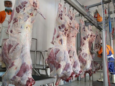 Azərbaycanda Monqolustan ətləri - QİYMƏTLƏR