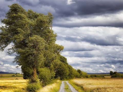 Küləkli hava ilə bağlı XƏBƏRDARLIQ&nbsp;