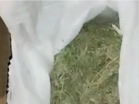 Narkotiklə tutulan şəxsin oğurluğu da üzə çıxdı