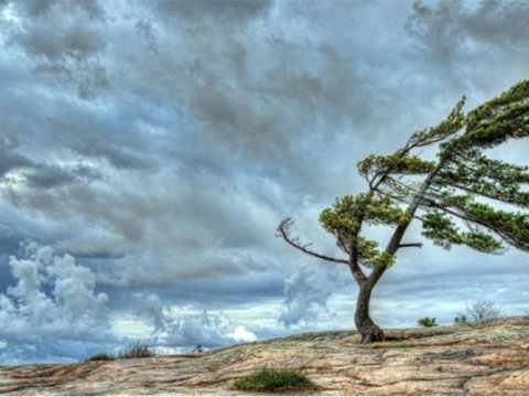 Küləkli hava nə vaxtadək davam edəcək? - PROQNOZ