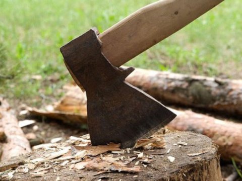 Qanunsuz ağac kəsən və ov edənlər saxlanıldı