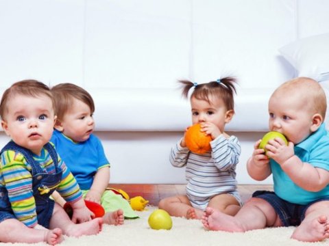 Bağçalarda tətil günlərinin vaxtı AÇIQLANDI