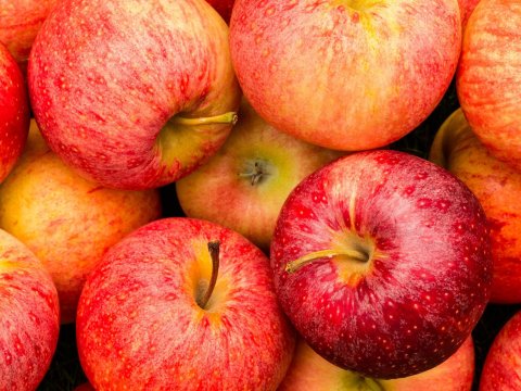 Almanın&nbsp;şok qiyməti:&nbsp;hansı supermarketdə&nbsp;ucuzdur?