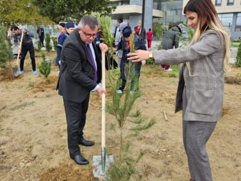 Sumqayıt Tibb Mərkəzinin əməkdaşları 8 min ağac əkdilər - FOTOLAR