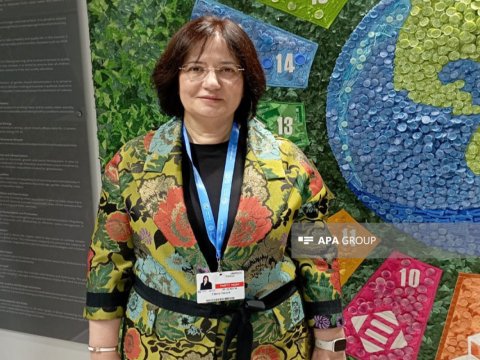 Türkiyə nümayəndə heyəti COP29-da iqlim hədəflərini açıqlayacaq
