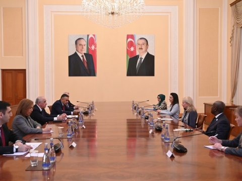 Əli Əsədov icraçı direktorla görüşdü