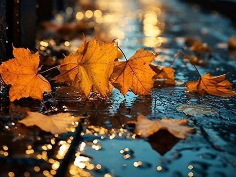 COP29-un üçüncü günündə hava arabir yağıntılı olacaq