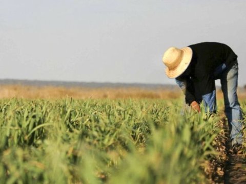 Azərbaycan fermerlərinə ŞAD XƏBƏR