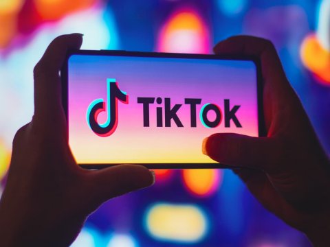 TikTok COP29-da #ClimateAction kampaniyasını başladır