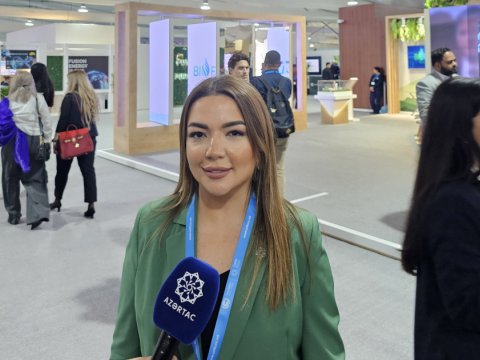 COP29-a görə 10 minə yaxın QHT nümayəndəsi ölkəmizə gələcək