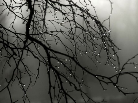 Yağış yağıb, duman olub - FAKTİKİ HAVA