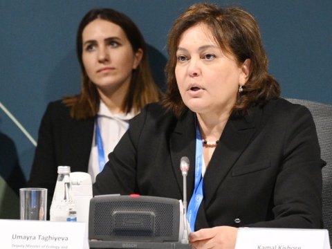 Azərbaycanda istilik dalğaları artıb - Umayra Tağıyeva