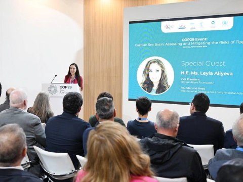 Leyla Əliyeva dəyirmi masada - FOTO