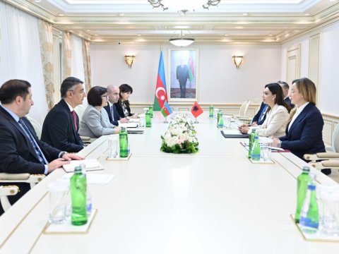 Sahibə Qafarova albaniyalı həmkarı ilə GÖRÜŞDÜ