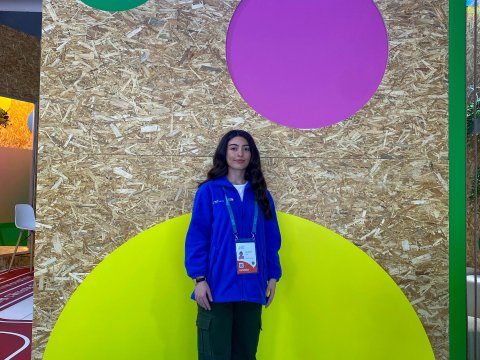 COP29 ilə Qlobal iqlim diplomatiyası: &ldquo;Yaşıl enerji&rdquo; dialoqları