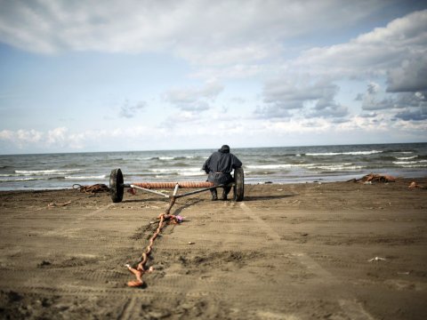 COP29-dakı razılaşmalar Xəzərin problemlərinin həllini sürətləndirəcək