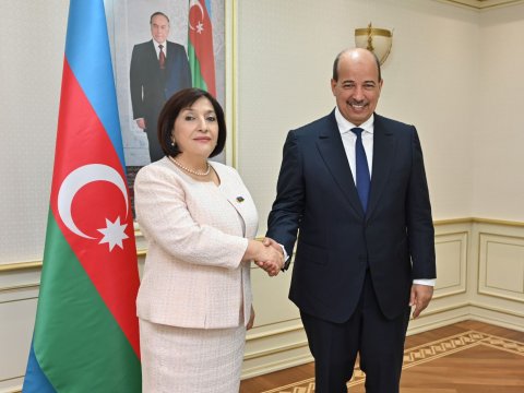 Sahibə Qafarova Assembliyanın Prezidenti ilə görüşdü