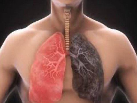 Siqaret çəkənlərin yarısı 70 yaşına çatmadan vəfat edir - MÜSAHİBƏ