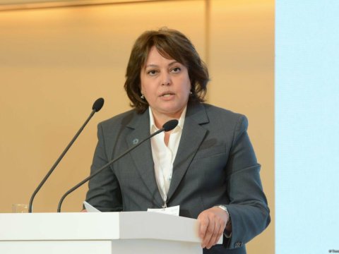 Bakıda istilik dalğaları 14 dəfə artıb - Nazir müavini