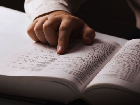 2024-cü ildə ən çox axtarılan SÖZ