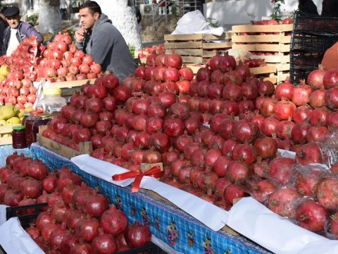 Azərbaycan meyvələri üçün YENİ BAZARLAR