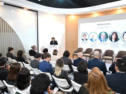 COP29-da Qafqaz dağlarının dayanıqlılığı müzakirə edildi