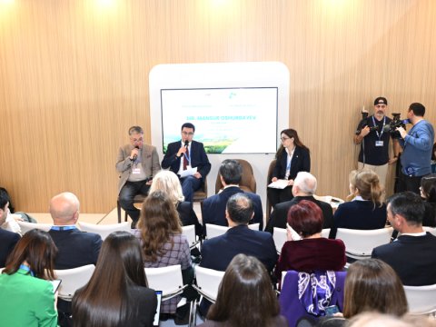 COP29-da plastik tullantılar müzakirə olundu&nbsp;