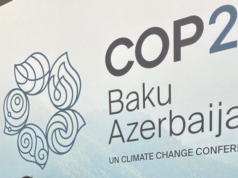 COP29-da meşələrin dünyadakı rolundan danışıldı