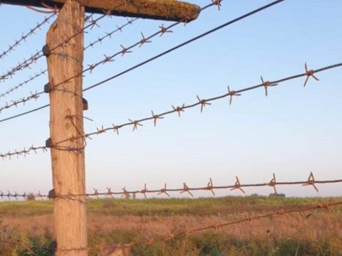 Bu il 301 nəfər sərhəd pozucusu saxlanılıb