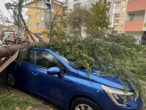 İstanbulda fırtına yaşandı - Qorxulu GÖRÜNTÜLƏR