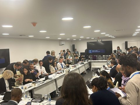 COP29 danışıqları yekunlaşır