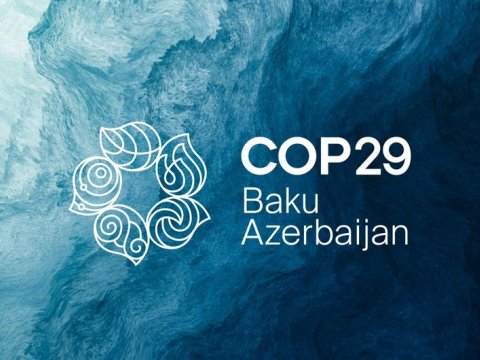 COP29-da quracağımız gələcəyin təməli qoyulub -&nbsp;UNEP rəhbəri