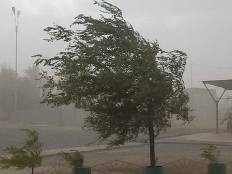 Bakıda güclü külək, rayonlarda duman - Faktiki hava