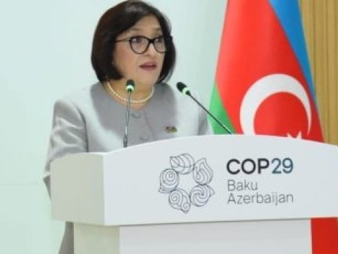 COP29-un töhfələri haqqında hələ çox danışılacaq - SPİKER