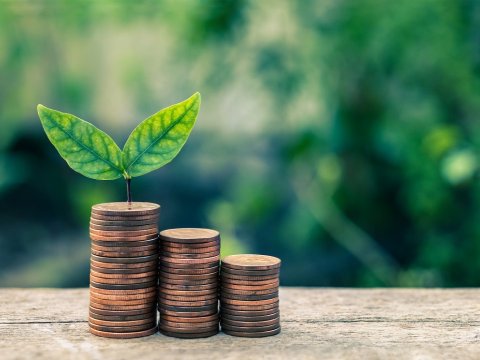 Gələn il üçün yaşıl büdcə xərcləri açıqlandı