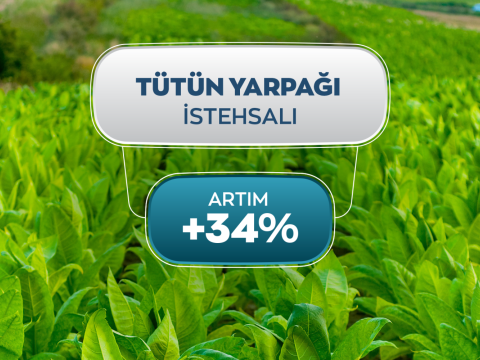 Xarici bazarlara 21,5 milyon dollar&nbsp;tütün ixrac olunub