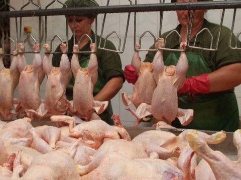 Quş əti bahalaşdı&nbsp;- VİDEO