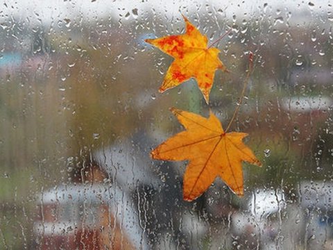 Bakıya leysan yağacaq - Sabahın HAVASI