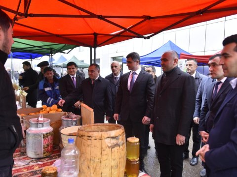 Lerik və Lənkəranda&nbsp;Aqrar Biznes Festivalları keçirilib - FOTOLAR