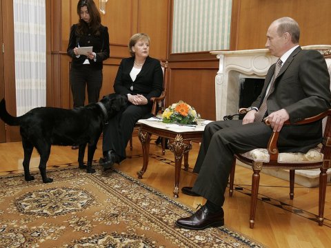 "Dedim ki, Angela, bağışla, mən bilmirdim"