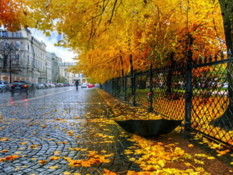 Noyabrın son gününün HAVASI