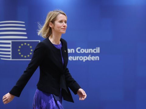 Avropa İttifaqı Gürcüstanı sanksiya ilə HƏDƏLƏYİR