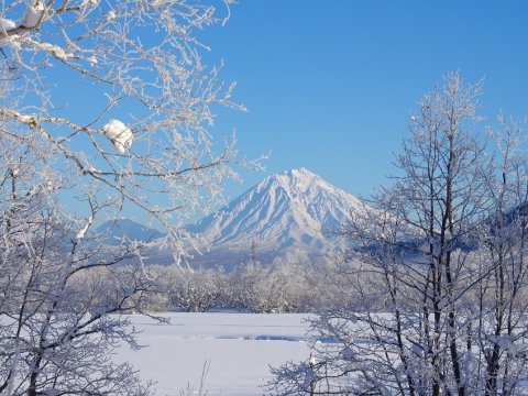 Qar yağacaq, 10 dərəcə şaxta olacaq - SABAHIN HAVASI