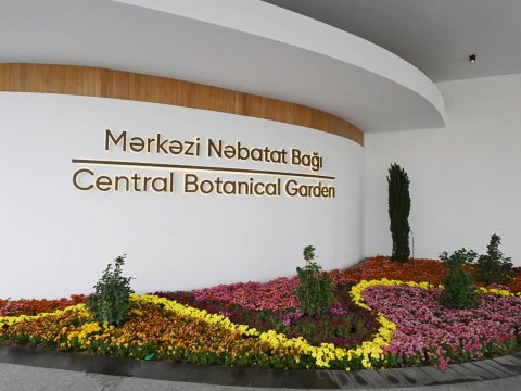 Nəbatat Bağına yeni&nbsp;sədr TƏYİN EDİLDİ