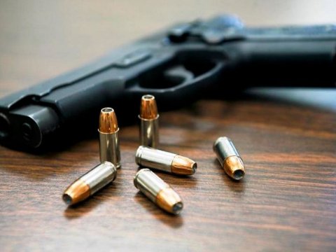 Mülki silahın əldə edilməsi elektronlaşdırılır