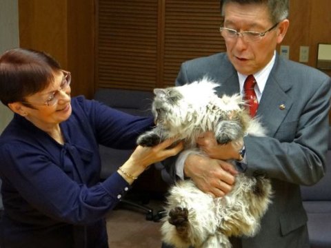 Putinin hədiyyə etdiyi pişik ÖLDÜ
