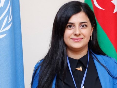 Bəzi İctimai şuralar təyinat əsasında formalaşdırılıb - Deputat